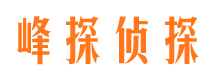 海原侦探